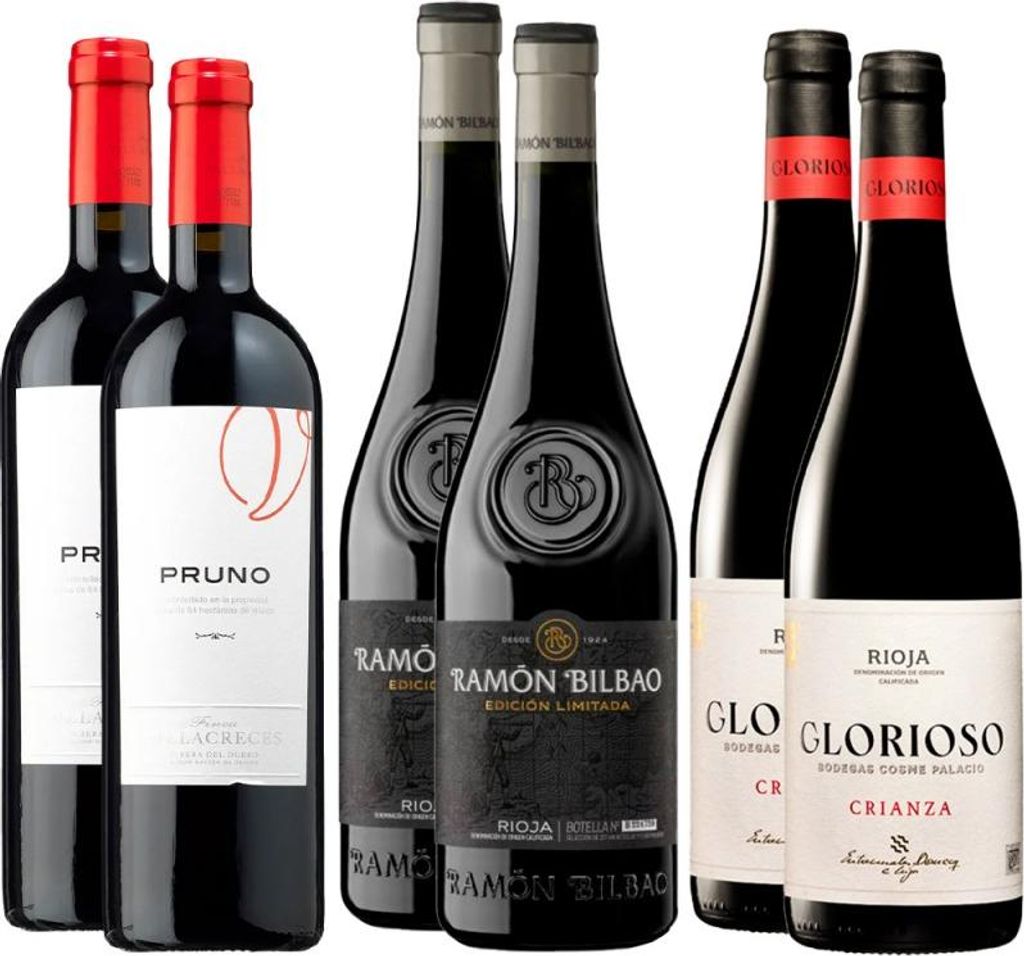 Pack 6 botellas Gourmet Rotwein Spanien 450.00 cl 14.0 %