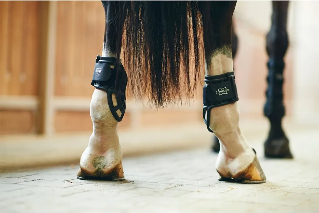 Protections Compositi Protech One Size ultra-légères et tête de cheval