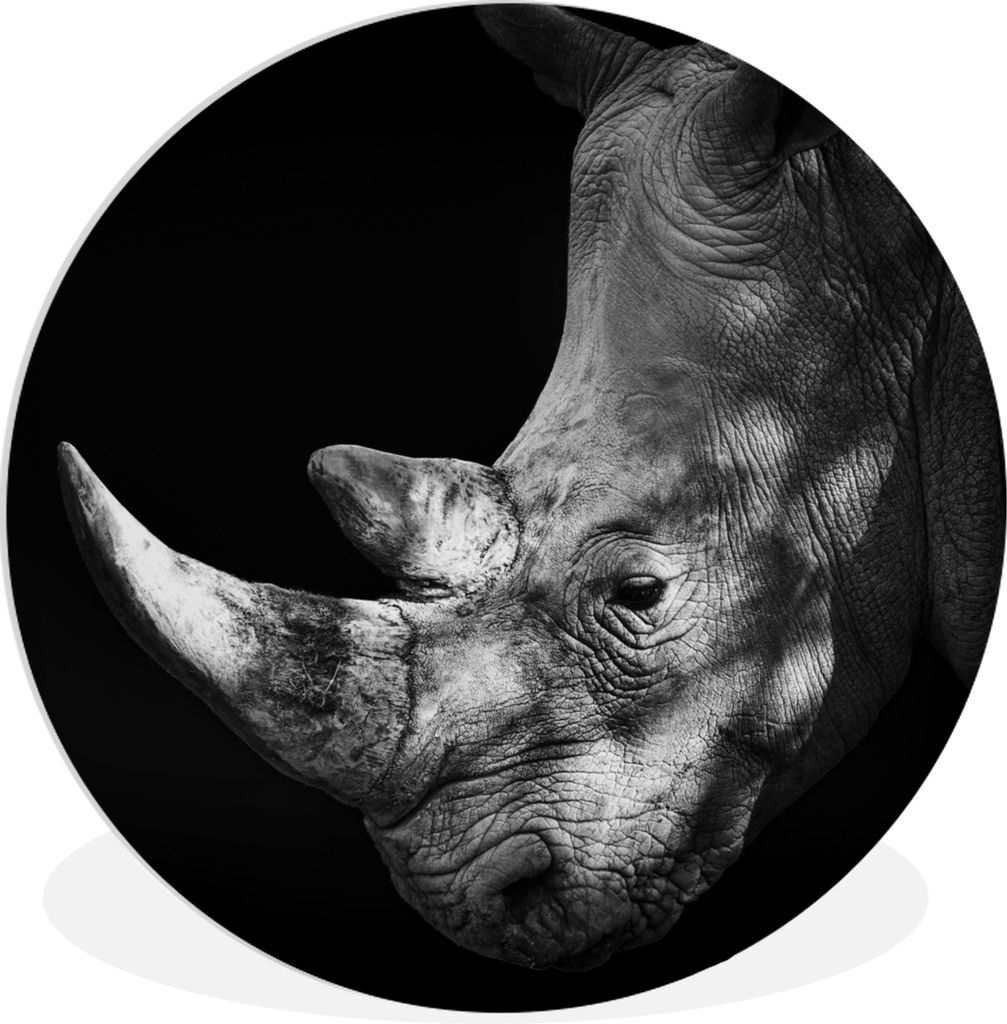 MuchoWow Rundes Wandbild - Runde Bilder Rhinozeros - Horn - Schwarz - Weiß Ø 60 cm Kreis Wanddekoration Kunststoff - Wandkreis - Wandschmuck - ...