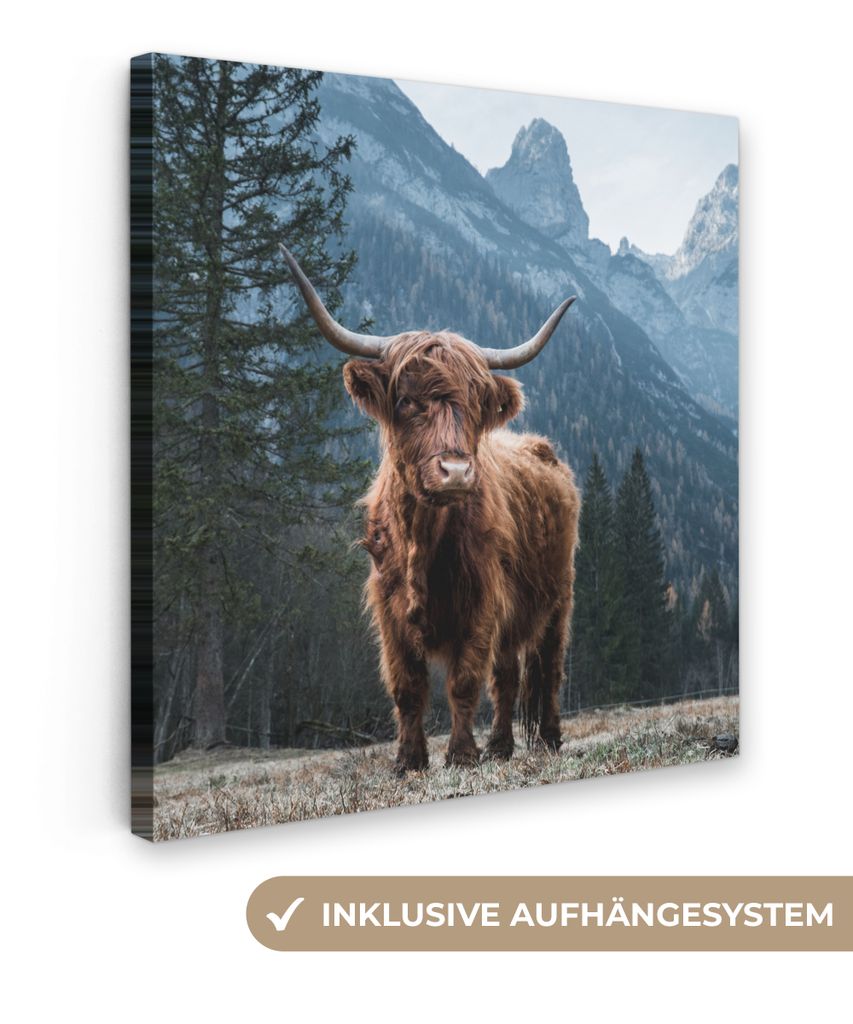 MuchoWow - Leinwandbilder - Schottische Highlander - Berg - Landschaft - Bäume - Kuh - Natur, Wandbild, Wanddeko Bilder Wohnzimmer, 50x50 cm