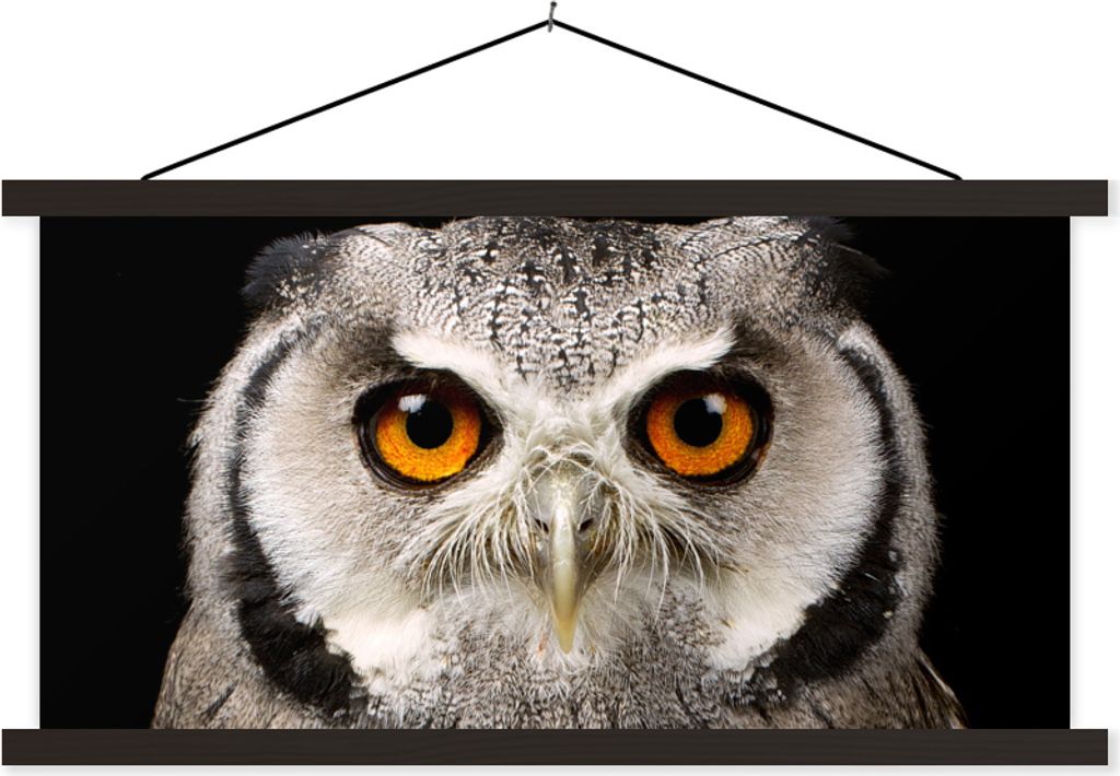 MuchoWow Textilposter Porträt Eule 120x60 cm mit schwarzem Rahmen - Dekoration Schlafzimmer