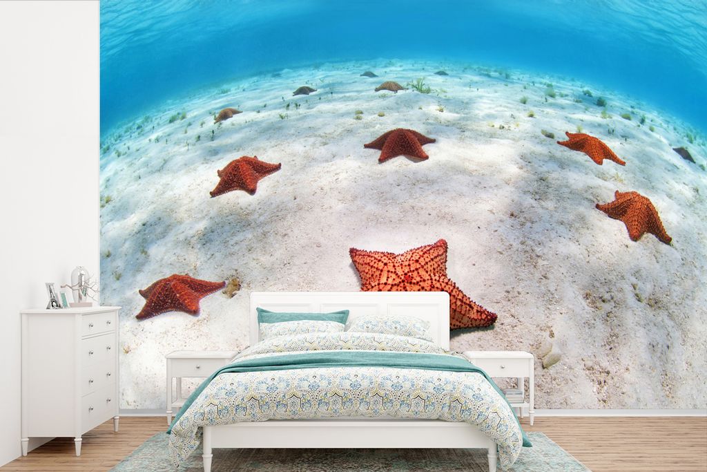 MuchoWow Fototapete für Wohnzimmer oder Schlafzimmer Wandtapete Vinyl Motivtapete Seesterne auf dem Meeresboden - 360x240 cm - Vinyl-Tapete