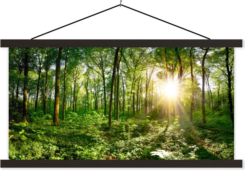 MuchoWow Textilposter Wald - Sonne - Frühling 60x30 cm mit schwarzem Rahmen - Textilien