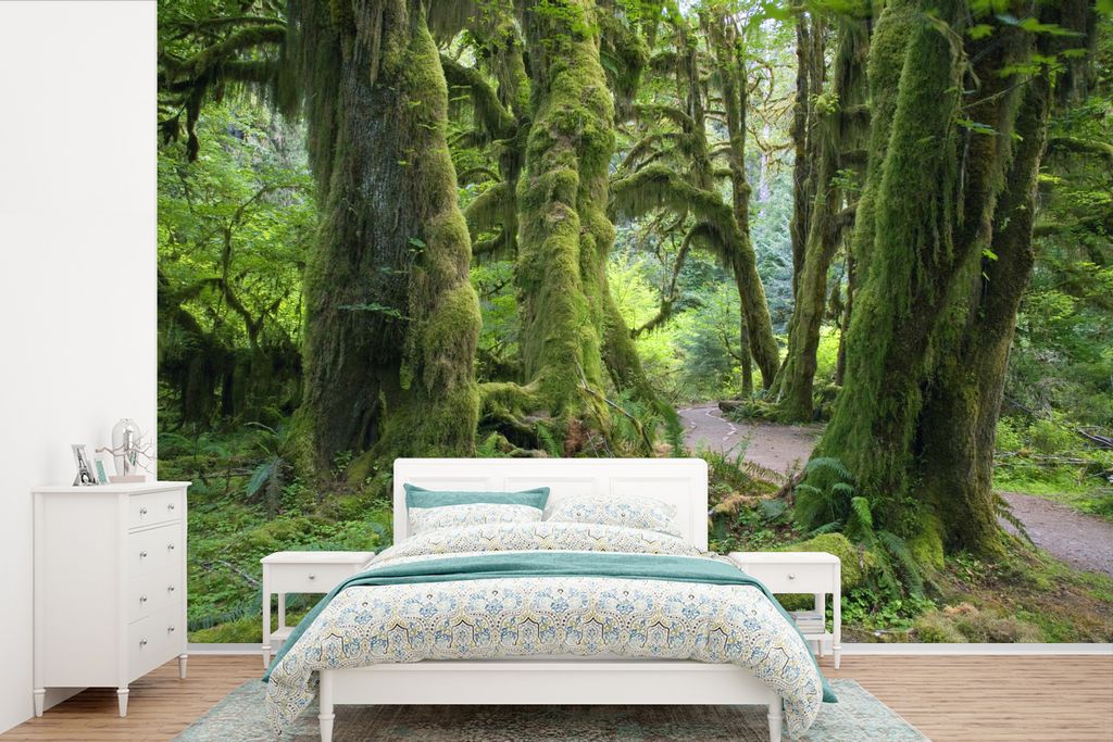 MuchoWow Fototapete für Wohnzimmer oder Schlafzimmer Wandtapete Vinyl Motivtapete Bewaldete Baumstämme in einem Washingtoner Regenwald - 525x35...