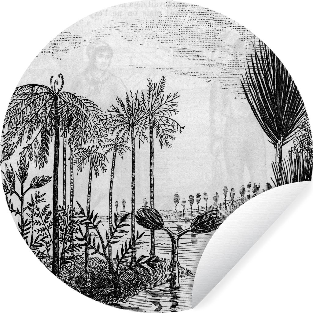 MuchoWow Runde Wandtattoo - Wandsticker Tapete Aufkleber Gestaltung - Bäume - Wasser - Natur Ø 80 cm Selbstklebend und Repositionierbar - Wanda...