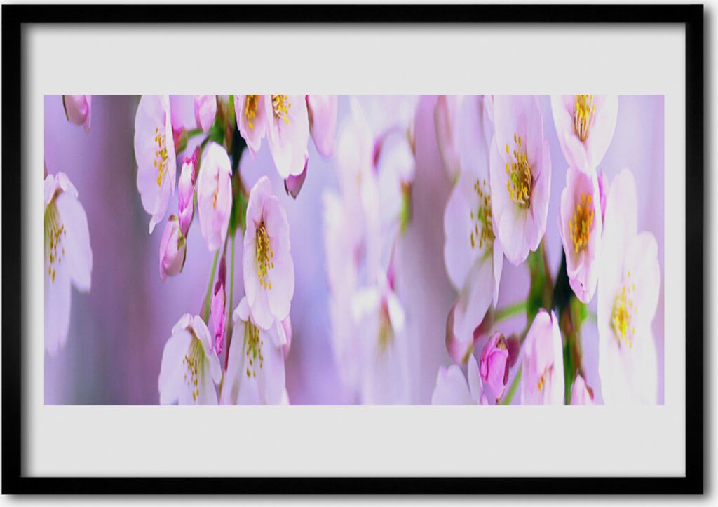 Bild 100x70 MDF-Rahmen Wandkunst Flowers On The Wall