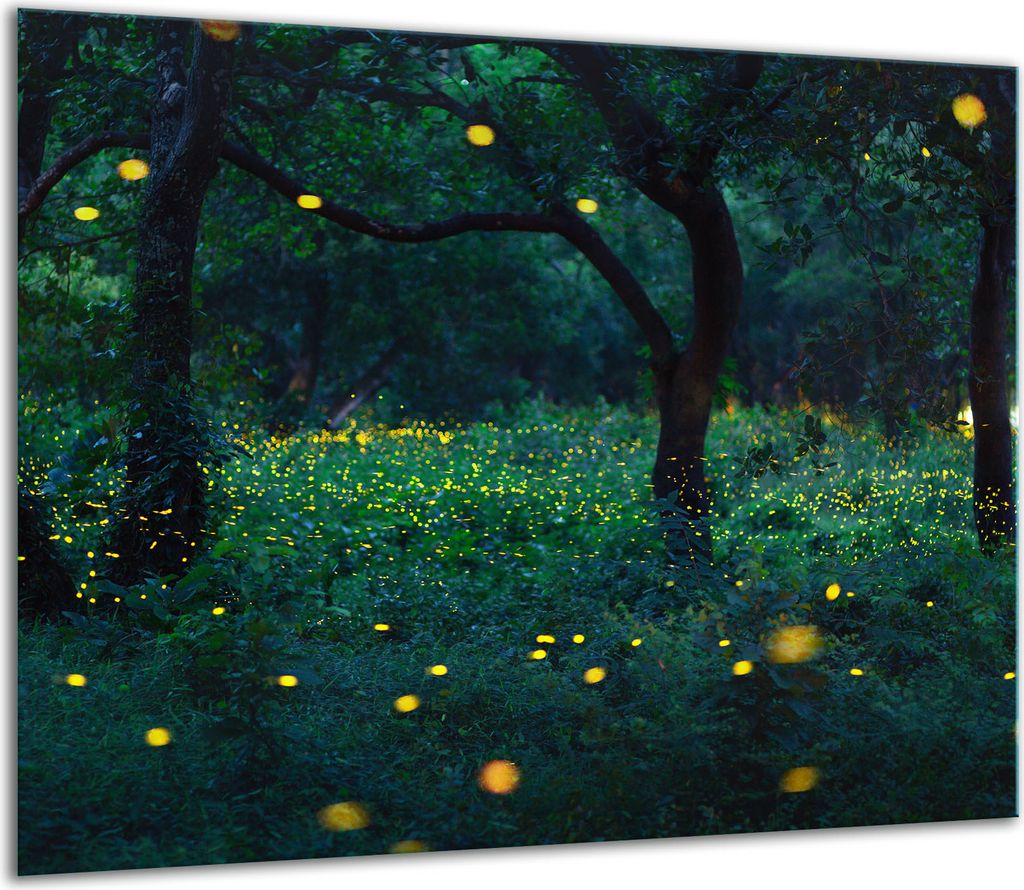 Herdabdeckplatten Glaskeramikkochfeld-Abdeckung Spritzschutz Glas 60x52cm Wald