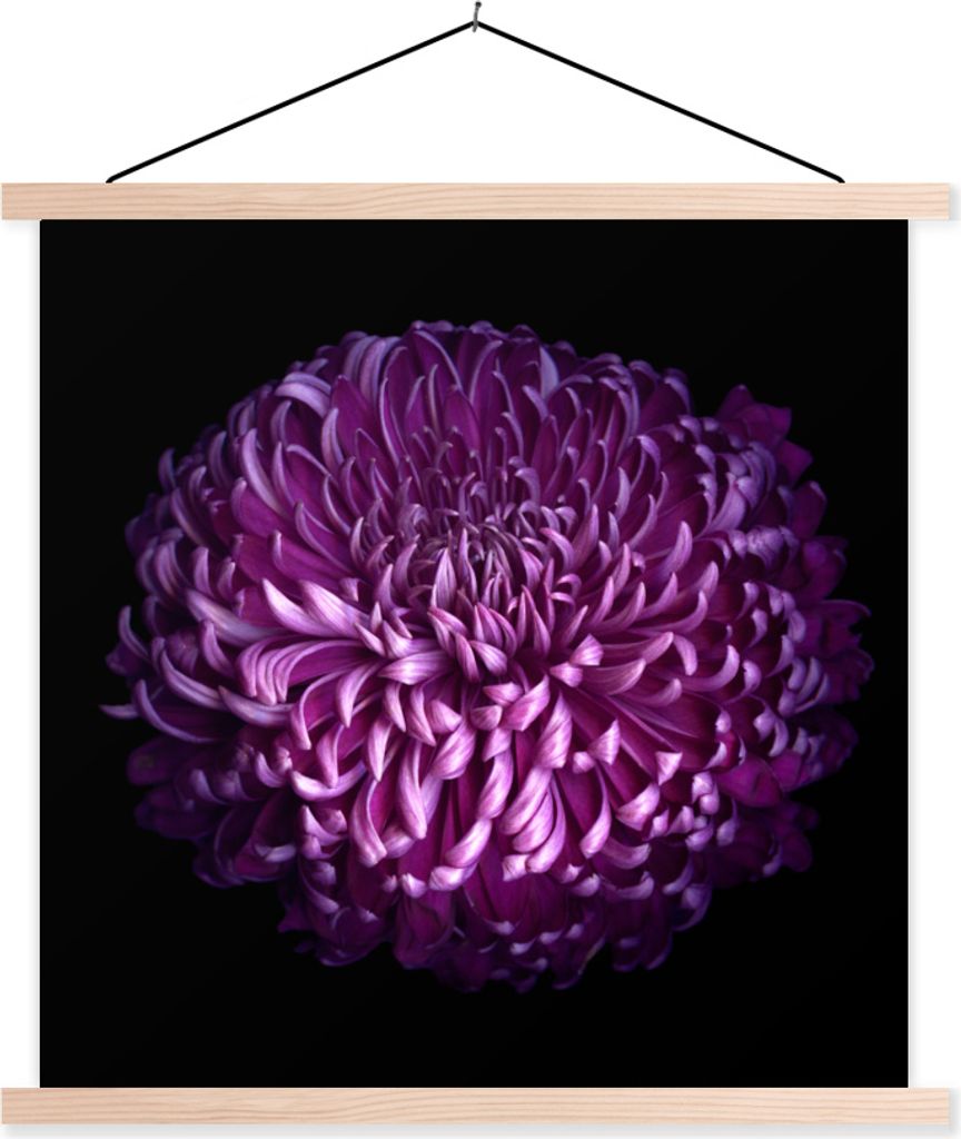 MuchoWow Textilposter Die Blätter einer lila Blume auf schwarzem Hintergrund 40x40 cm mit holzfarbenen Rahmen - Posterleiste