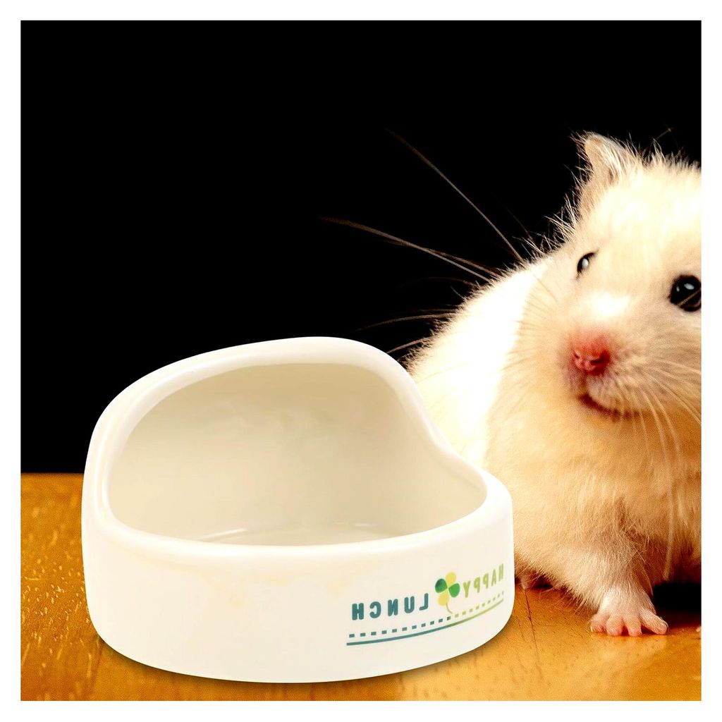 Keramischer Hamsternapf Umkippsicher Klein Langlebige Kleintierschale für Hamster und Meerschweinchen Wiederverwendbar und Leicht zu Reinigen