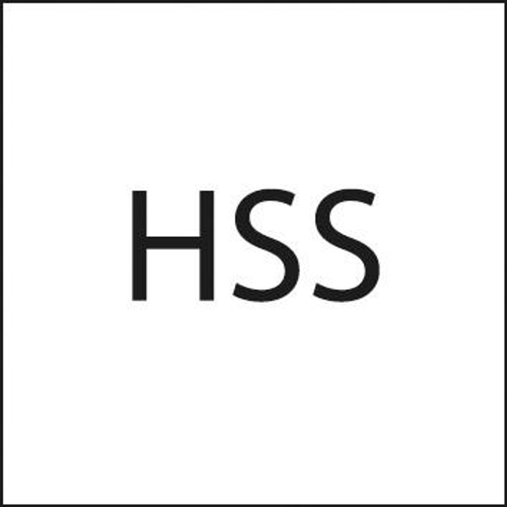 FORMAT Handsägeblatt SS doppelseitig 300 mm 24Z/Zoll