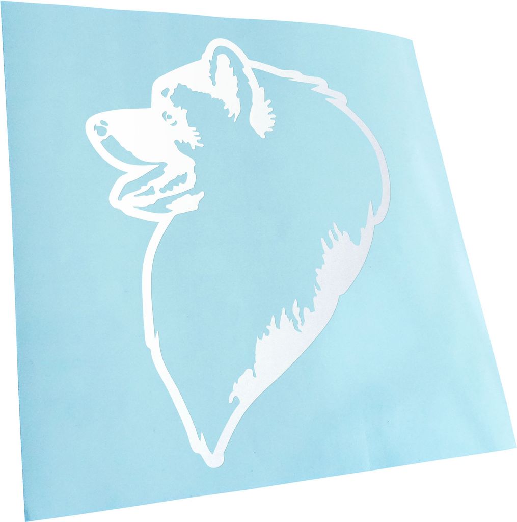 Kiwistar - Autoaufkleber - Keeshond Hund - Gold - 40x31cm - Aufkleber für Auto, Laptop, Fahrrad, LKW, Motorrad mehrfarbig JDM Decal Racing