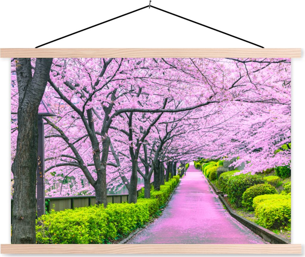 MuchoWow Textilposter Sakura - Japan - Frühling 120x80 cm mit holzfarbenen Rahmen - Aufhängeset