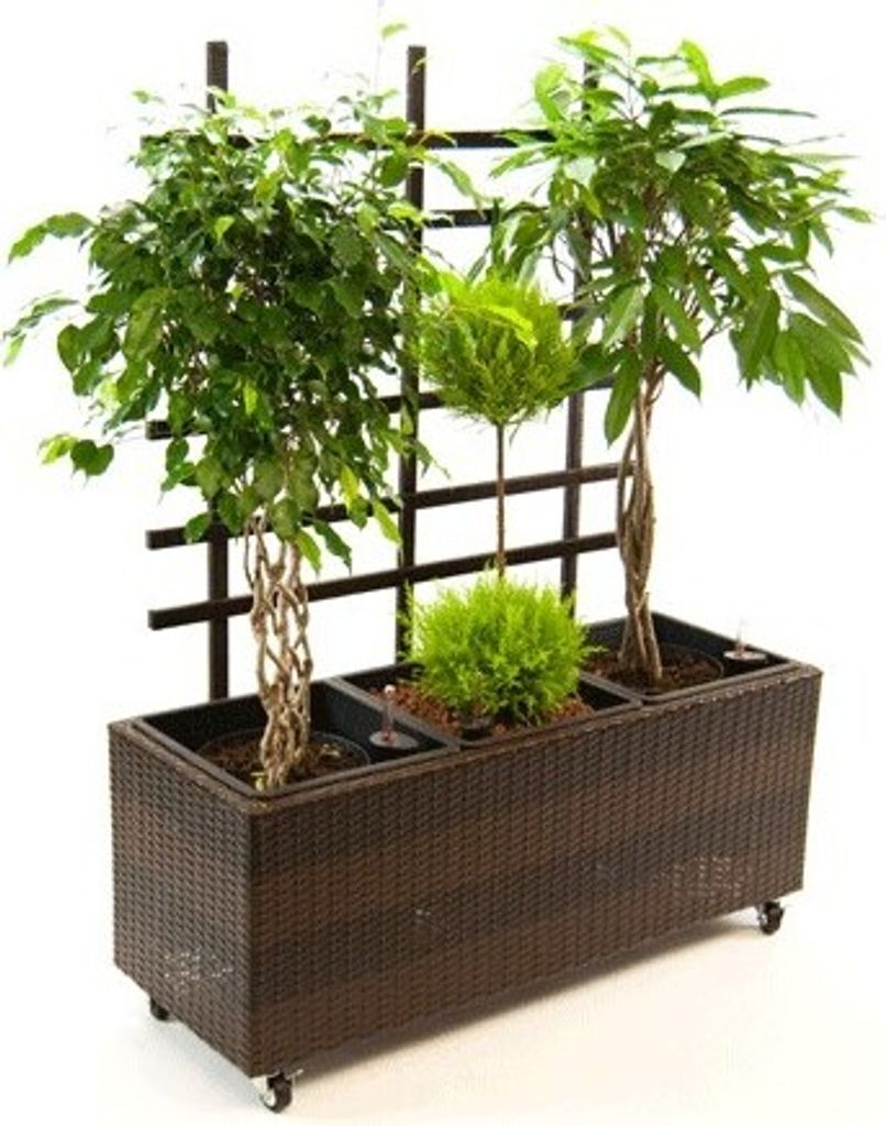 Elegant Einrichten | Pflanzkübel | Polyrattan | mit Rankgitter | rechteckig | 106x38x130cm | mocca.