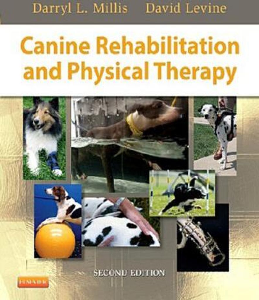 Canine Rehabilitation and Physical Therapy