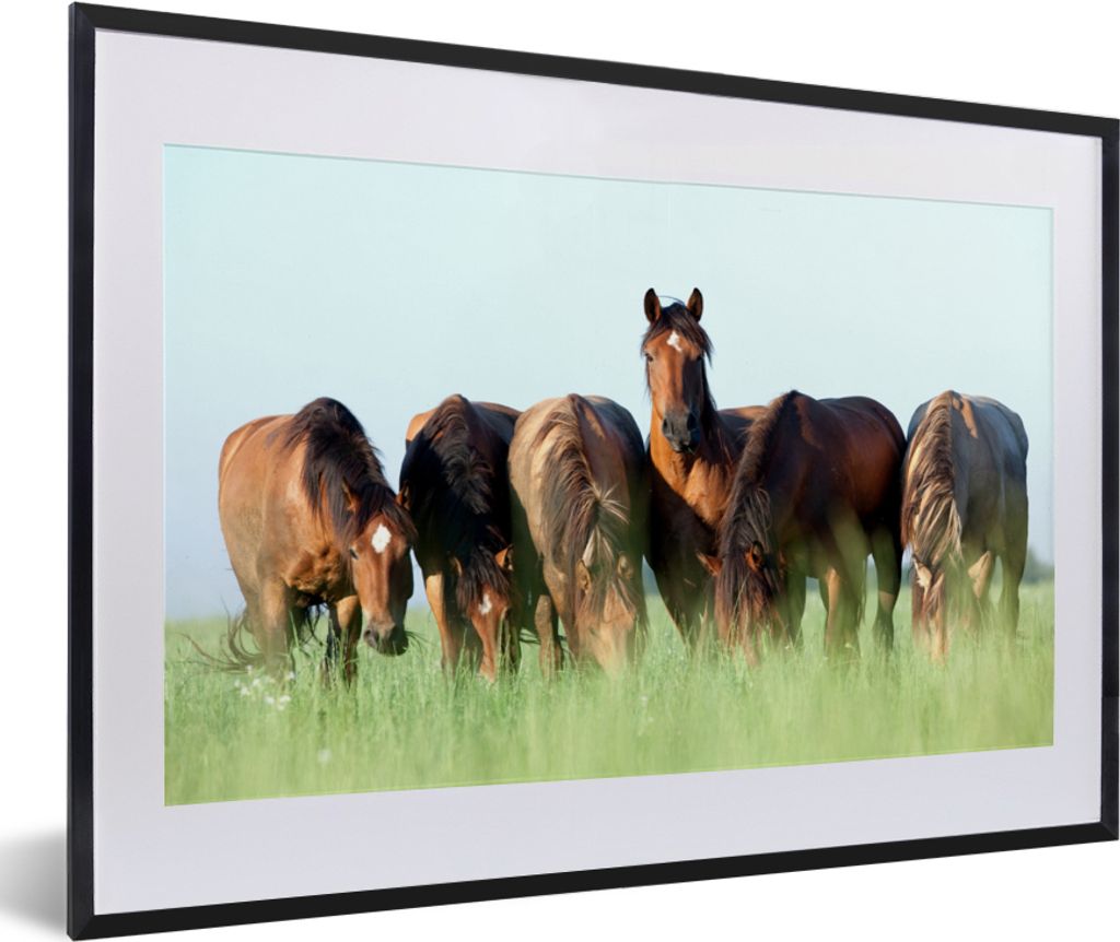 MuchoWow MuchoWow Gerahmtes Poster Pferde - Tiere - Gras - Sommer 60x40 cm - Poster mit zchwarzem Bilderrahmen - Schlafzimmer - Plakat in Rahme...