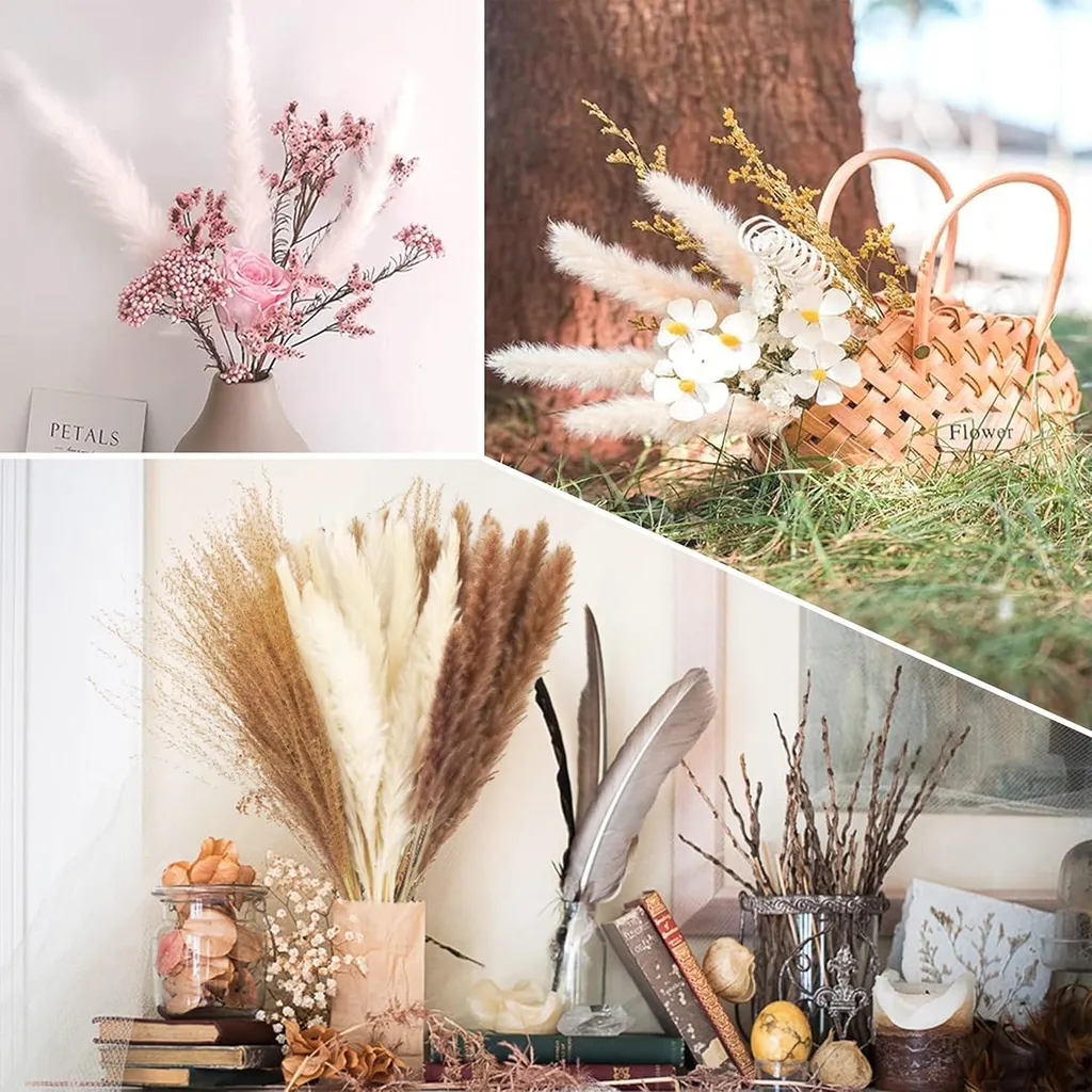 Herbe de la Pampa pour mariage et décoration de table marron blanc - 4
