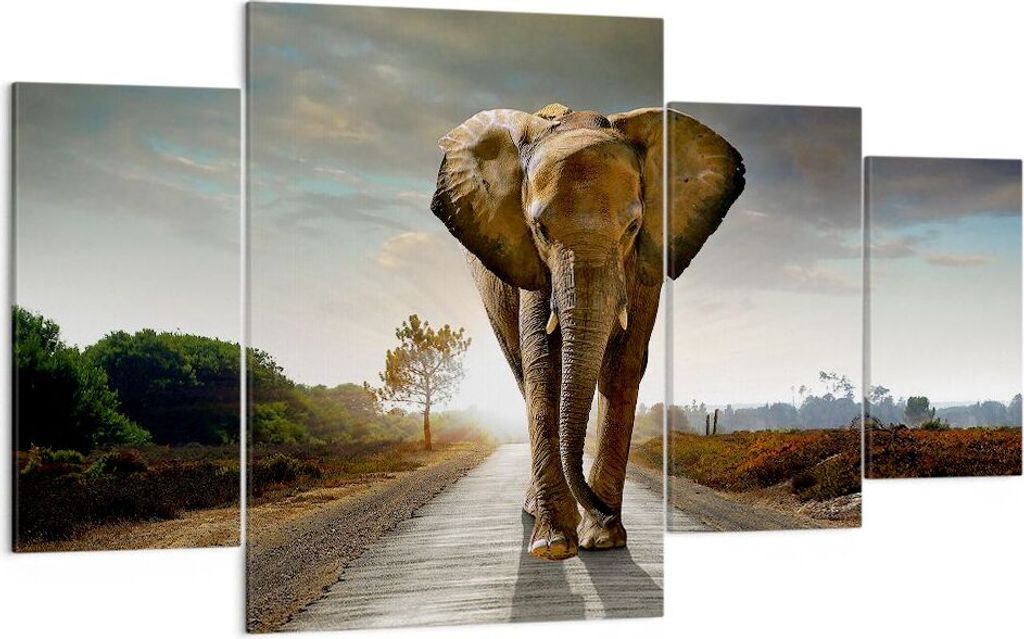 Bild auf Leinwand - Leinwandbild - Elefant Straße Landschaft - 160x90cm - Wand Bild - Wanddeko - Leinwanddruck - Bilder - Kunstdruck - Wanddekorat...
