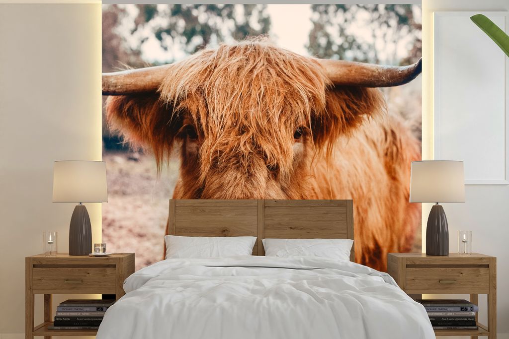 MuchoWow Fototapete für Wohnzimmer oder Schlafzimmer Wandtapete Vinyl Motivtapete Kuh - Schottischer Hochländer - Hörner - Braun - Landschaft ...