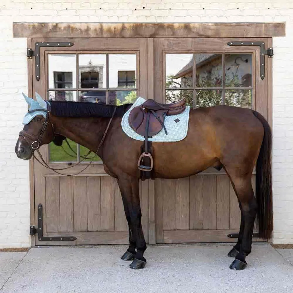 Sottosella Kentucky Velvet Pony Azzurro - Collezione Jumping Deluxe - 9