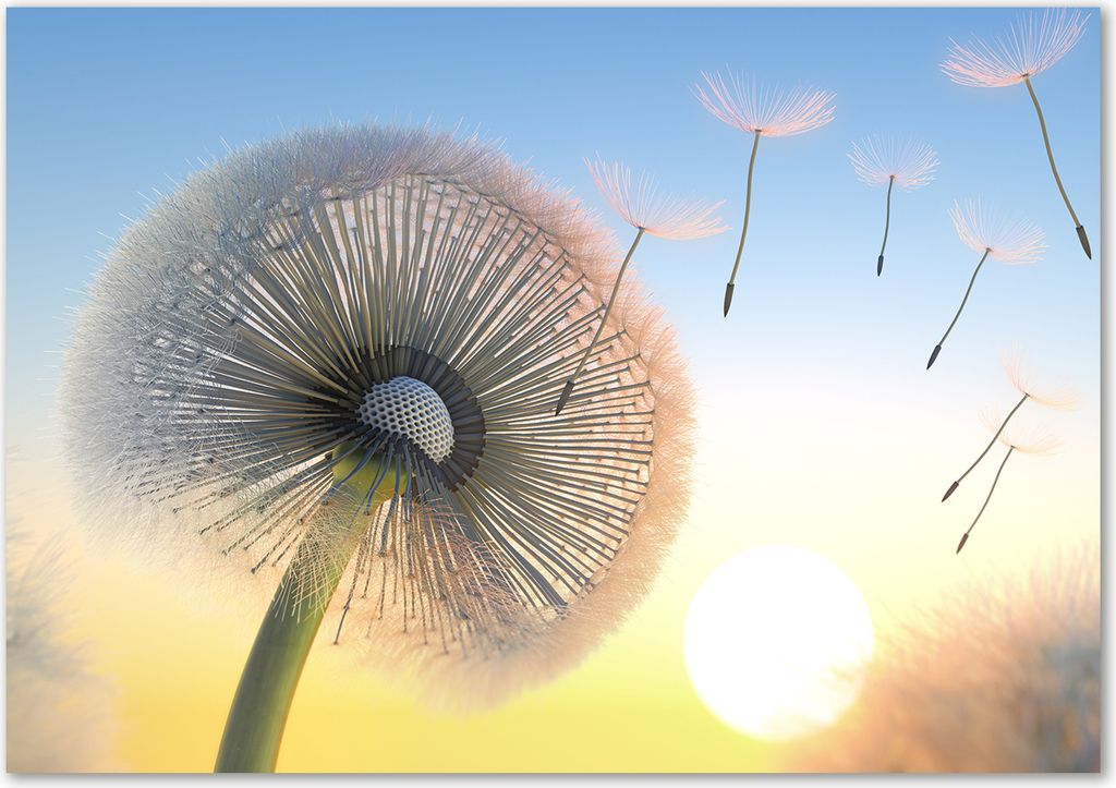 Tulup Glas-Bild - 100 x 70 - Wandbild aus Glas - Wandkunst - Wandbild hinter gehärtetem Sicherheitsglas - Blumen & Pflanzen - Pusteblume - Beige
