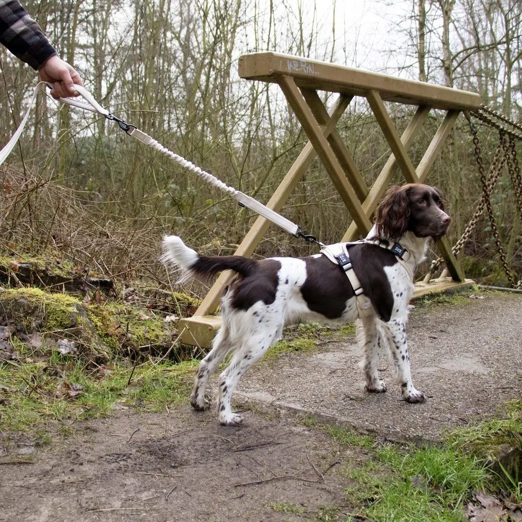 Laisse multi-position pour chien Duvo+ EXPLOR Ultimate Fit blanc antique - 3