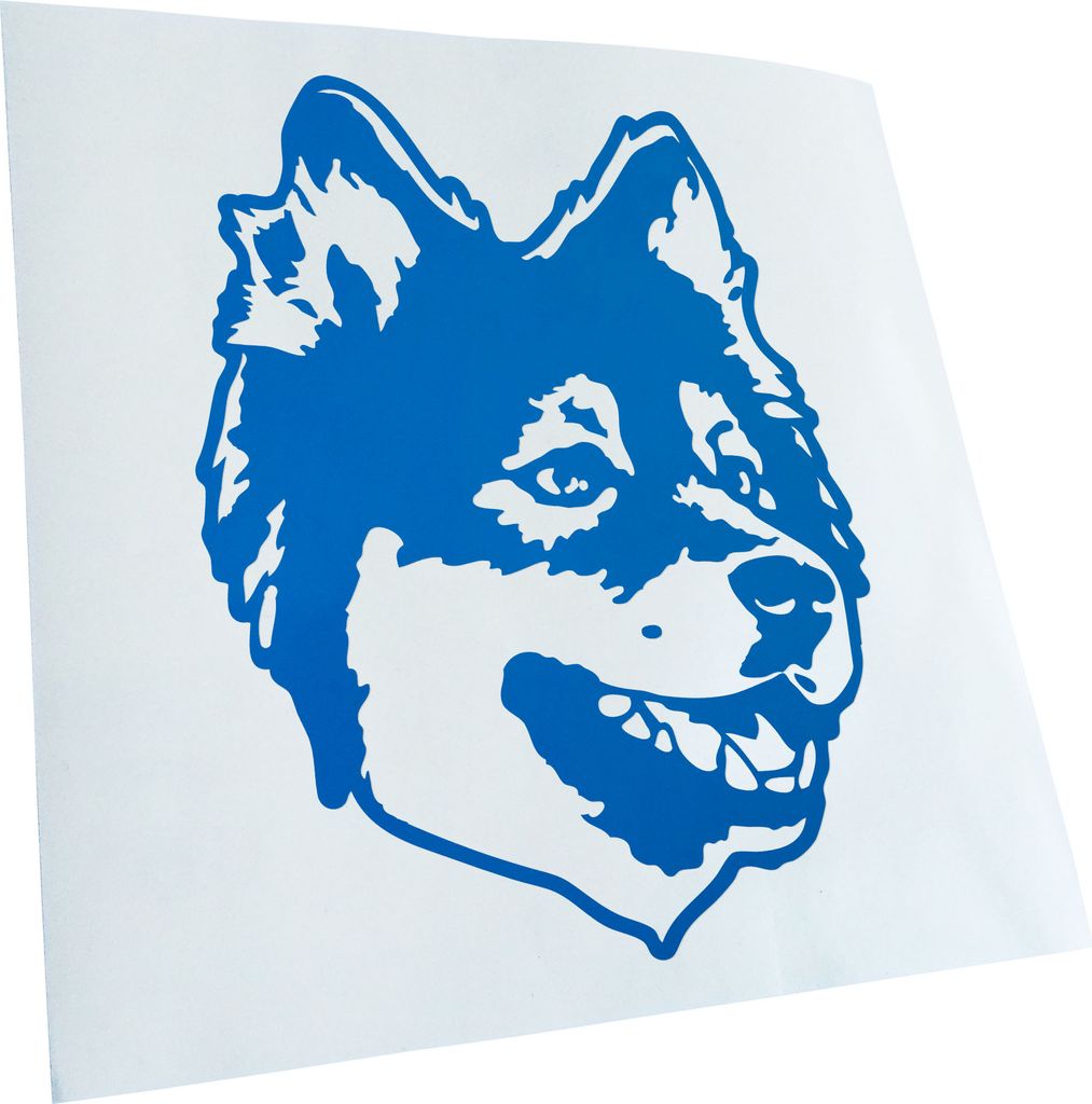 Kiwistar - Autoaufkleber - Finnish lapphund Hund - Blau - 40x31cm - Aufkleber für Auto, Laptop, Fahrrad, LKW, Motorrad mehrfarbig JDM Decal Racing