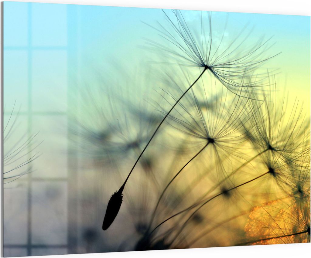 DEQORI Magnettafel Glas 120x90 cm 'Schirmchen in Abendsonne' beschreibbar Whiteboard