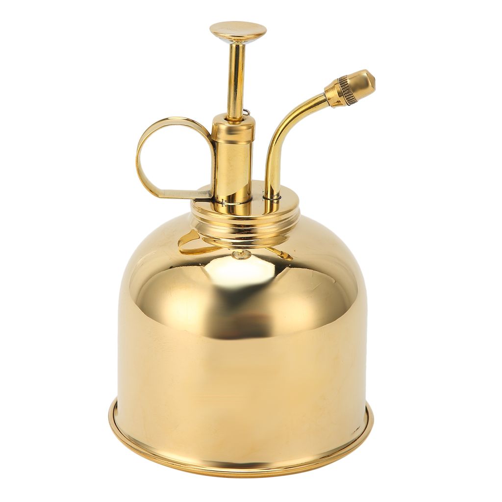 Professionelle Gießkanne aus Edelstahl mit Pumpe oben für Sukkulenten, Orchideen, 300 ml