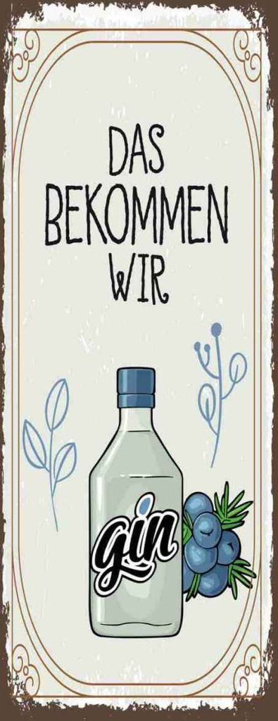 vianmo Holzschild 27x10 cm Alkohol GIN das bekommen wir Essen Trinken