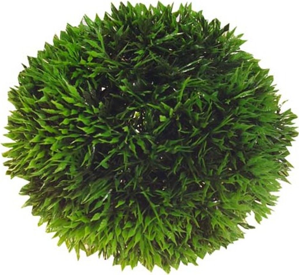 Hobby lopta na rastliny, 9 cm Obrázok produktu 