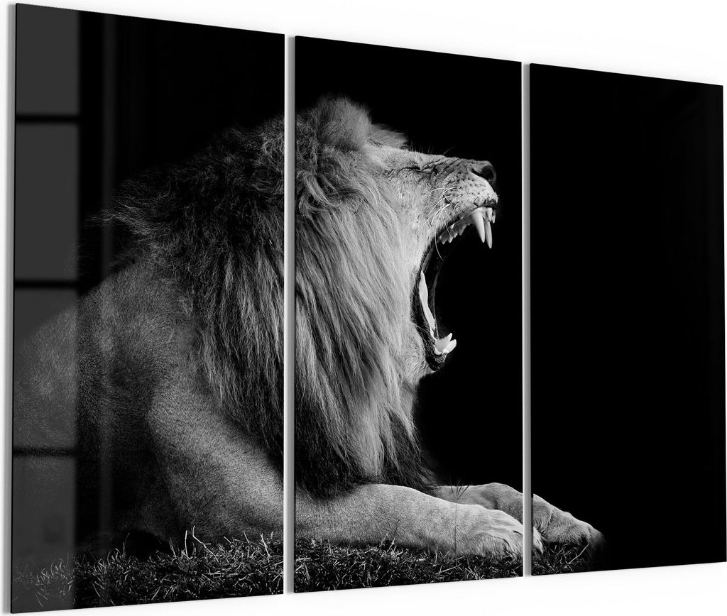 DEQORI Glasbild Echtglas 3x50x100 cm 'Brüllender Löwe' Wandbilder XXL groß