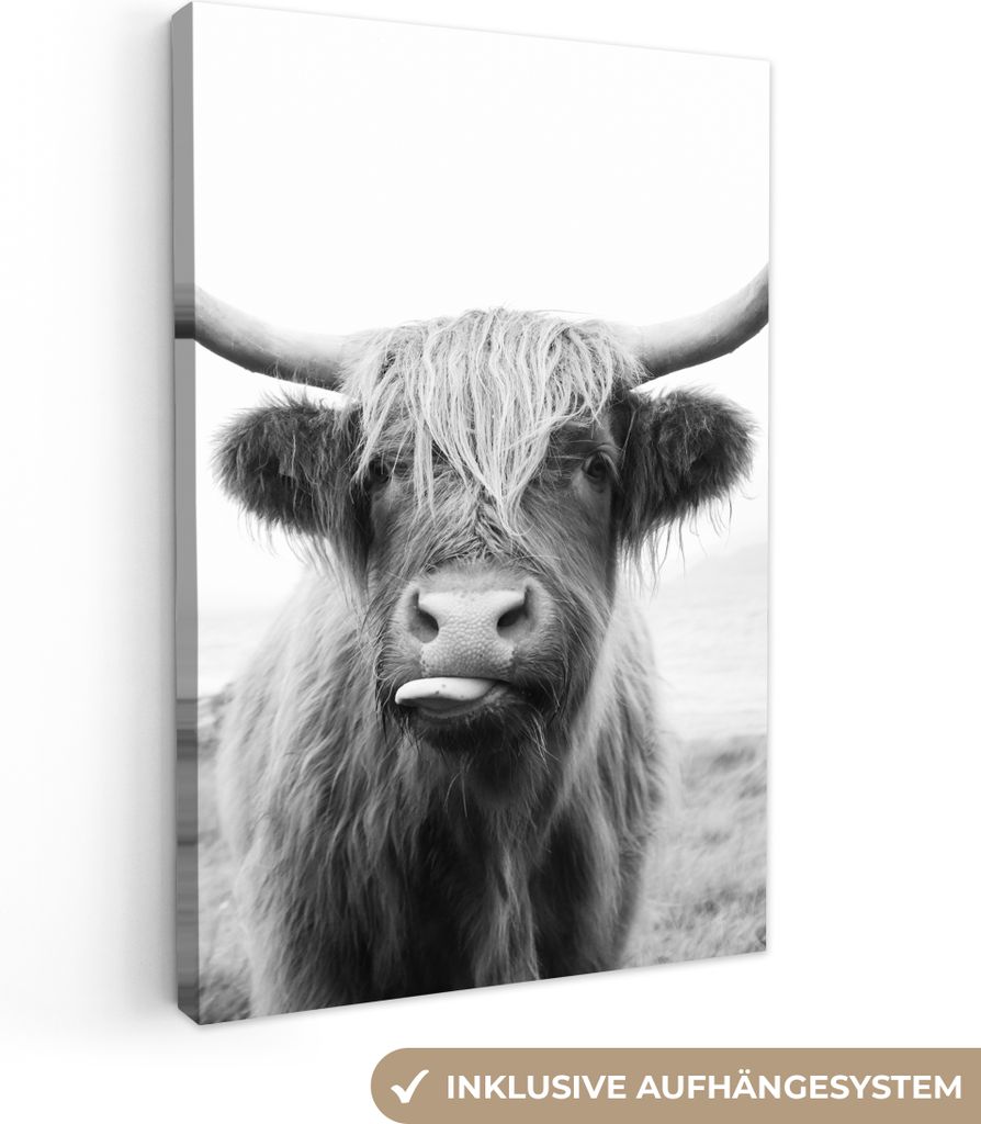 MuchoWow - Leinwandbilder - Tiere - Schottischer Highlander - Kuh - Schwarz - Weiß, Wandbild, Wanddeko Bilder Wohnzimmer, 60x90 cm