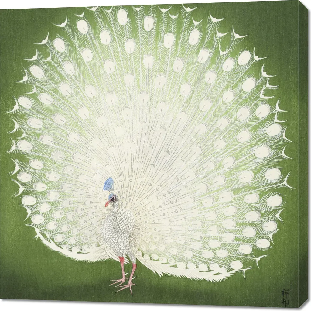 Tableau Salon Zen : Grand Format 90x90 cm Paon Japonais Style Rétro