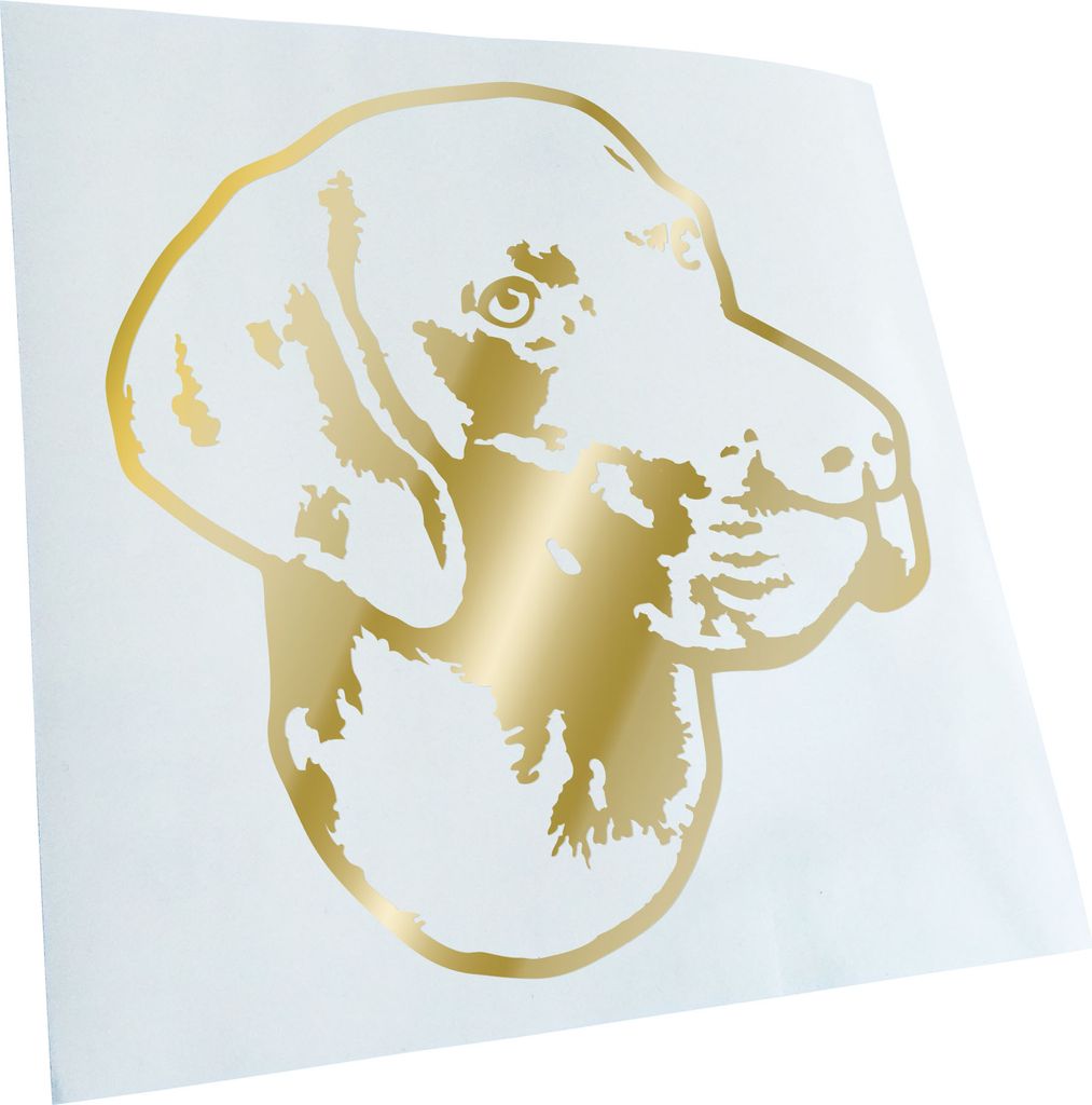 Kiwistar - Autoaufkleber - German shorthaired pointer Hund - Goldchrom - 40x36cm - Aufkleber für Auto, Laptop, Fahrrad, LKW, Motorrad mehrfarbig J...