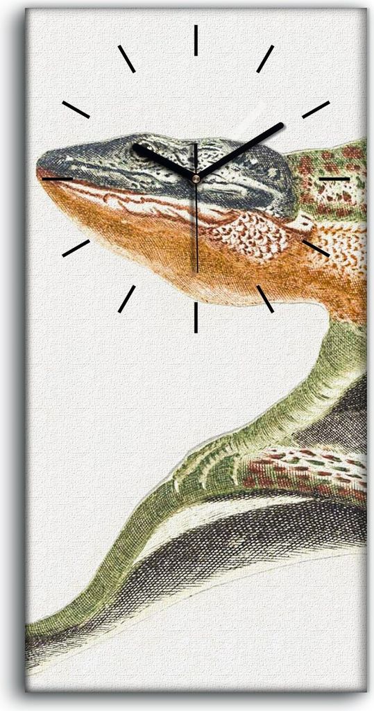 Leinwand Wanduhr Wandkunst Uhr Geräuschlos 30x60 Gemälde Tier Eidechse Kunst - schwarze Hände