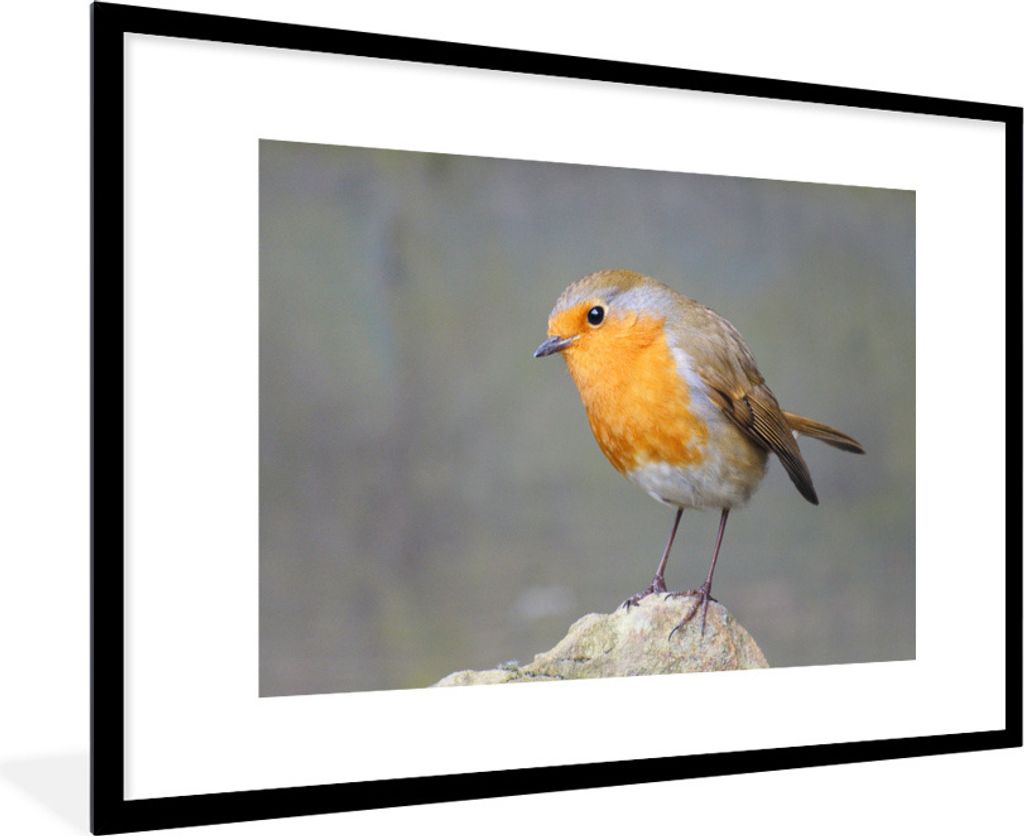 MuchoWow Gerahmtes Poster Vogel - Rotkehlchen - Felsen 90x60 cm - Poster mit Schwarzem Bilderrahmen Wandposter Rahmen Foto Bilder - Wanddekoratio...