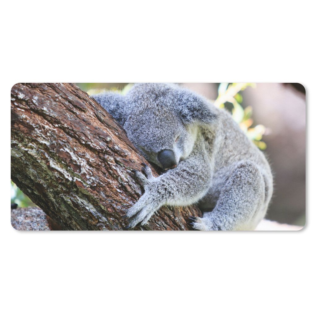 MuchoWow Schreibtischunterlage Koala - Kofferraum - Plüschtier - Kinder - Jungen - Mädchen 80x40 cm - XXL Mauspad - Gaming Mauspad