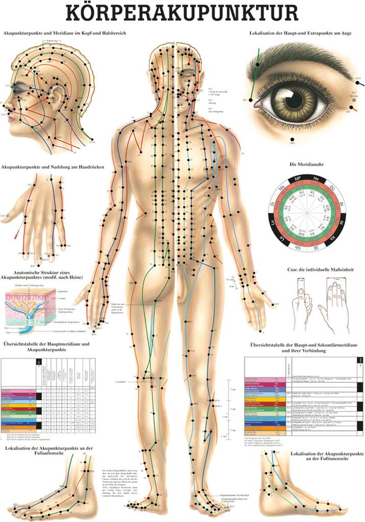 Körperakupunktur Poster Anatomie 70x50 cm medizinische Lehrmittel