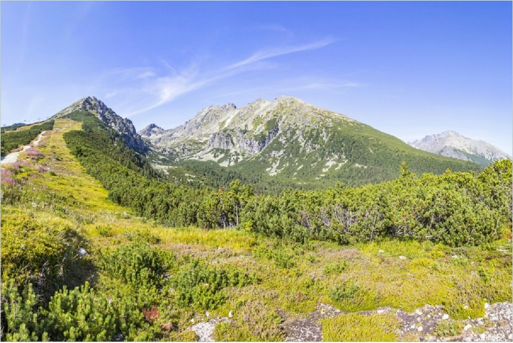 Wallario selbstklebendes Poster - Berggipfel in der Tatra, Größe: 100 x 150 cm