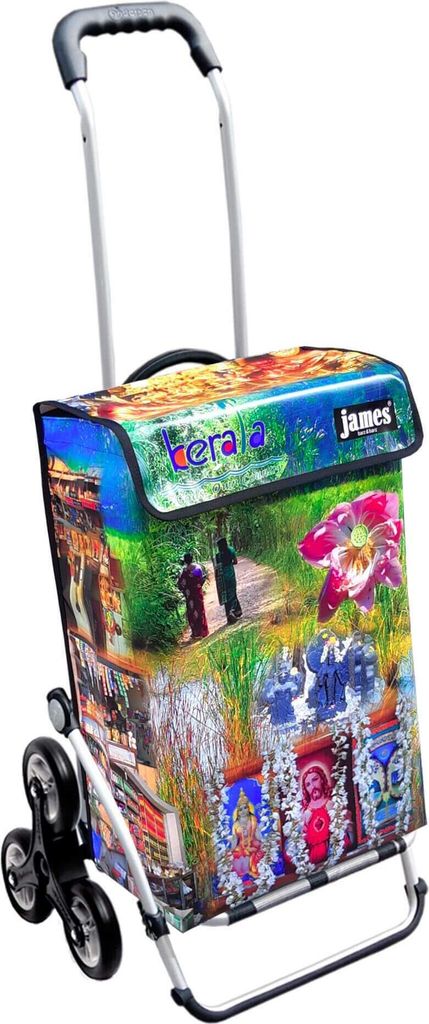 James Einkaufstrolley - KERALA - stabiler Einkaufswagen mit individuellem Design - einfarbig: grün in Ausführung: Royal-Treppensteiger