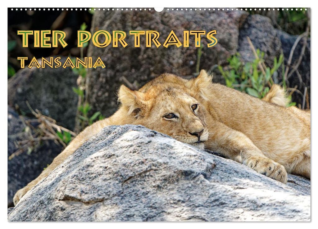 Tier Portraits Tansania (Wandkalender 2027 DIN A2 quer), CALVENDO Monatskalender