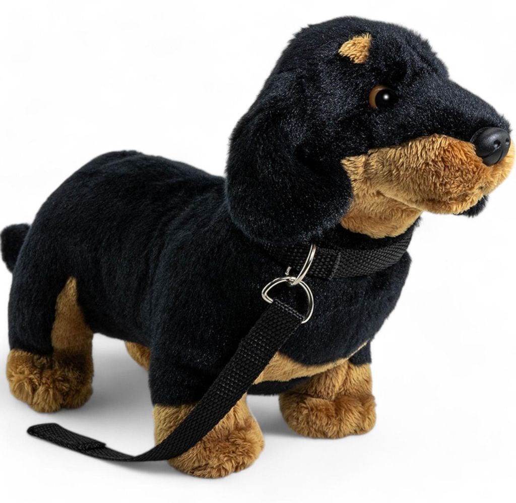 Carl Dick Teckel debout noir avec laisse env. 30cm de long, Image du produit 