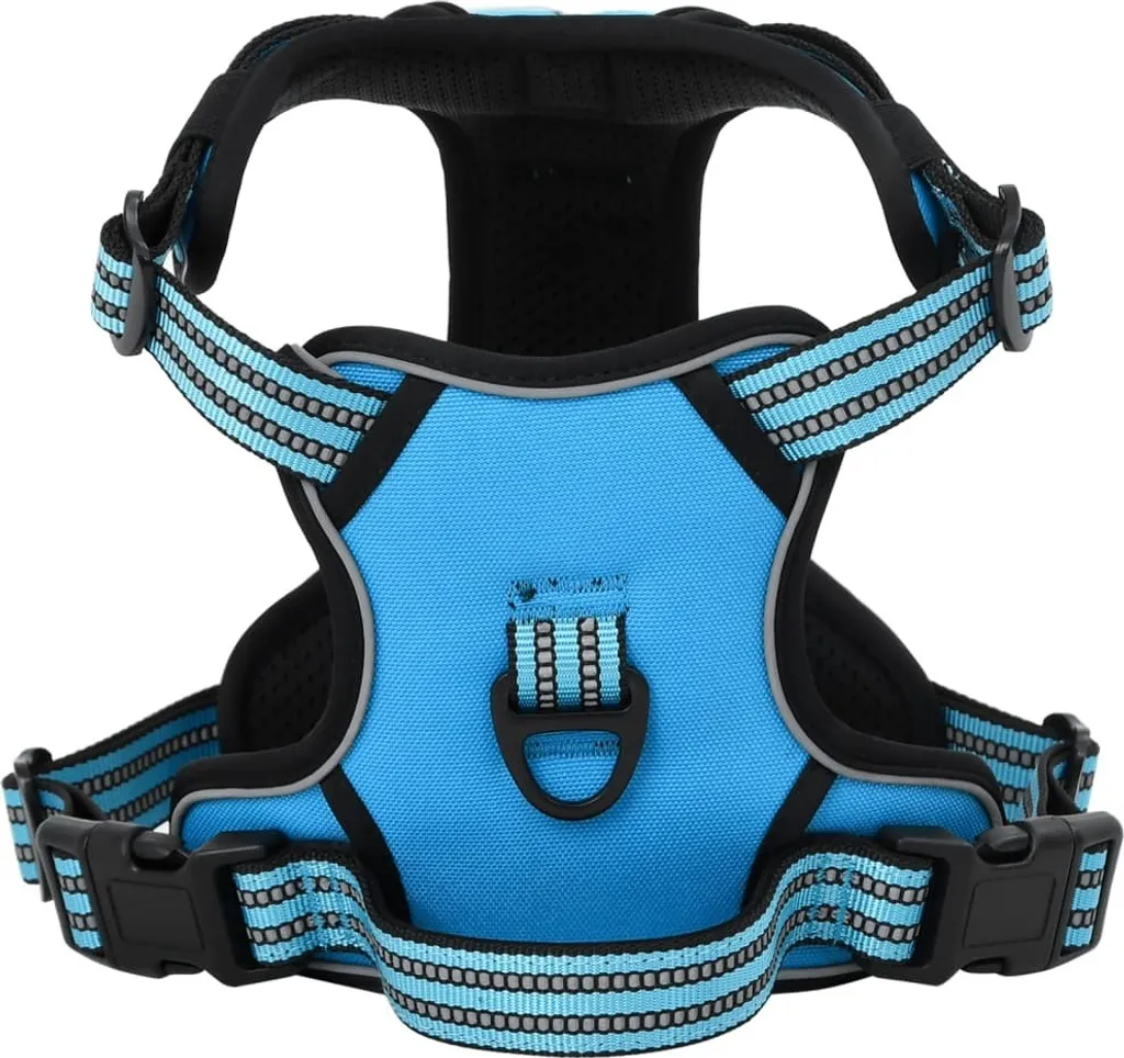 Harnais chien XL bleu réglable avec laisse robuste et collier de sécurité