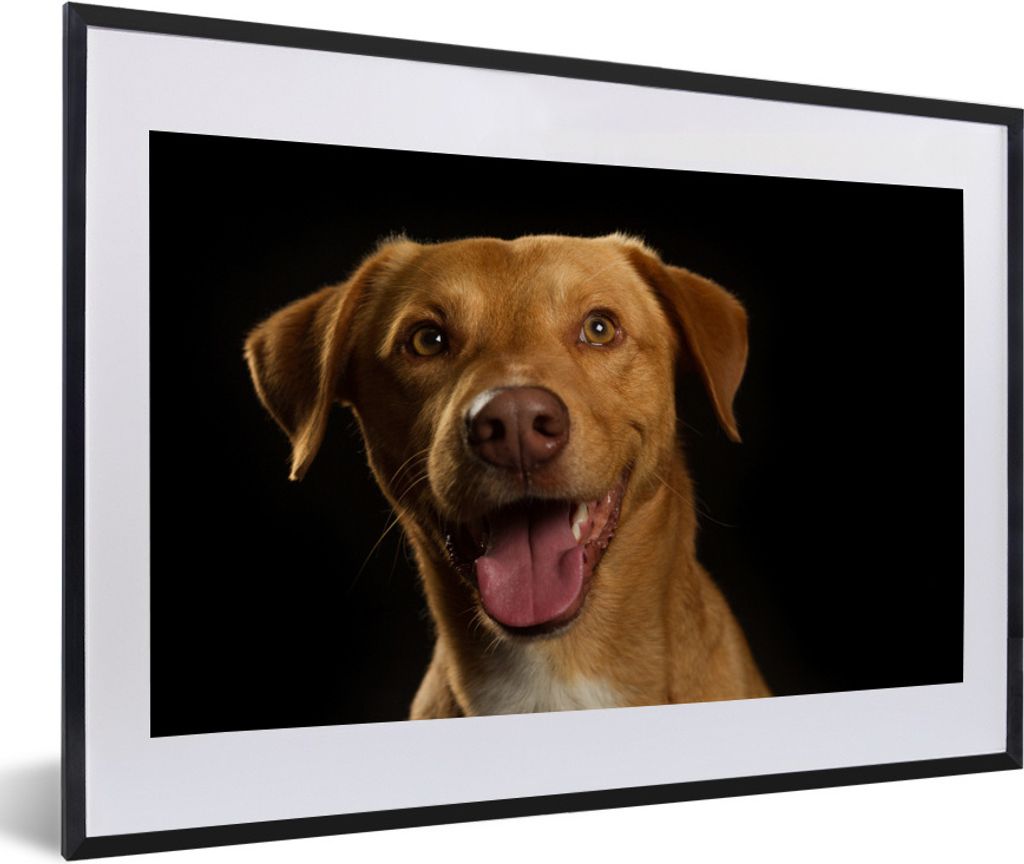 MuchoWow Gerahmtes Poster Hund - Haustiere - Porträt 60x40 cm - Poster mit Schwarzem Bilderrahmen Wandposter Rahmen Foto Bilder - Schlafzimmer -...