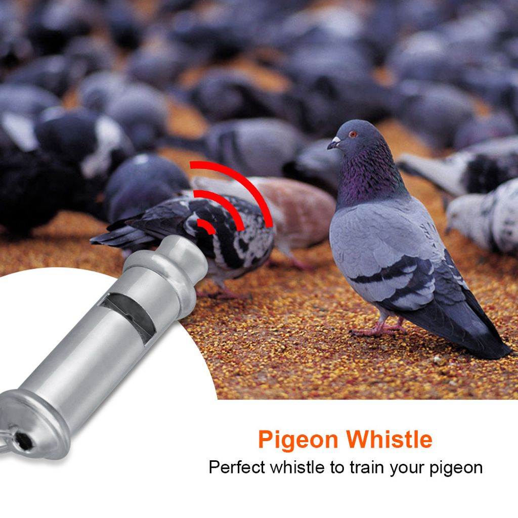 Sifflet à ultrasons pour pigeons en acier inoxydable – Image du produit 