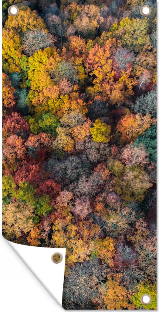 MuchoWow 80x160 cm Outdoor-Poster Gartendeko Sichtschutz Garten Poster für den Garten Eine Auswahl an bunten Blättern im Baum