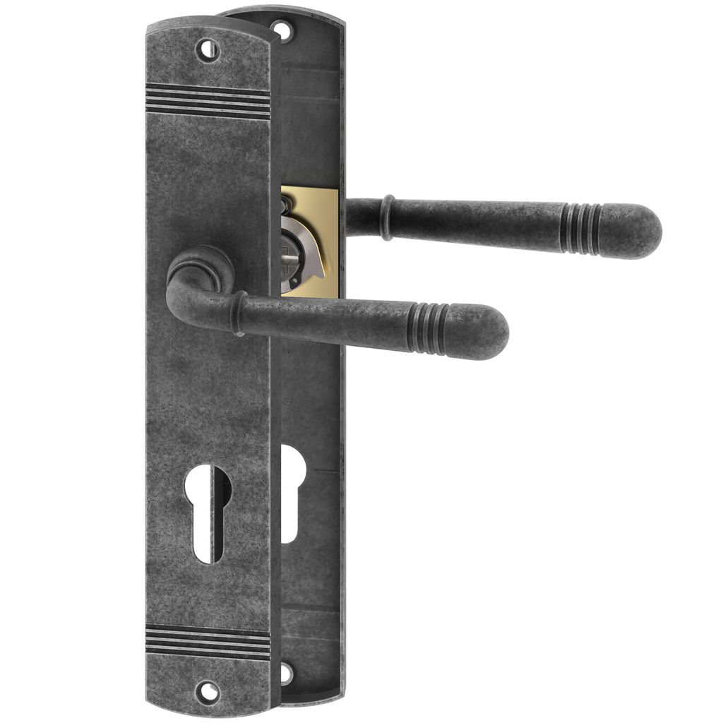 A door handle set with a backplate and two handles, shown against a white background.