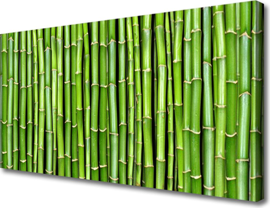 Tulup Leinwand-Bilder 100x50 Wandbild Canvas Kunstdruck Bambus Pflanzen