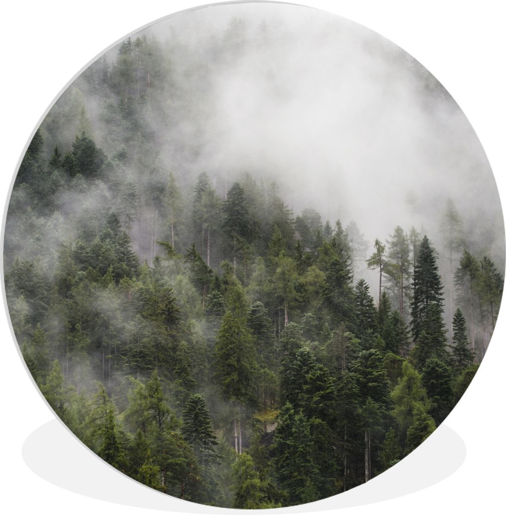 MuchoWow Rundes Wandbild - Runde Bilder Wald - Nebel - Berg Ø 60 cm Kreis Wanddekoration Kunststoff - Wandkreis - Wandschmuck - Wand Kreis - Das...