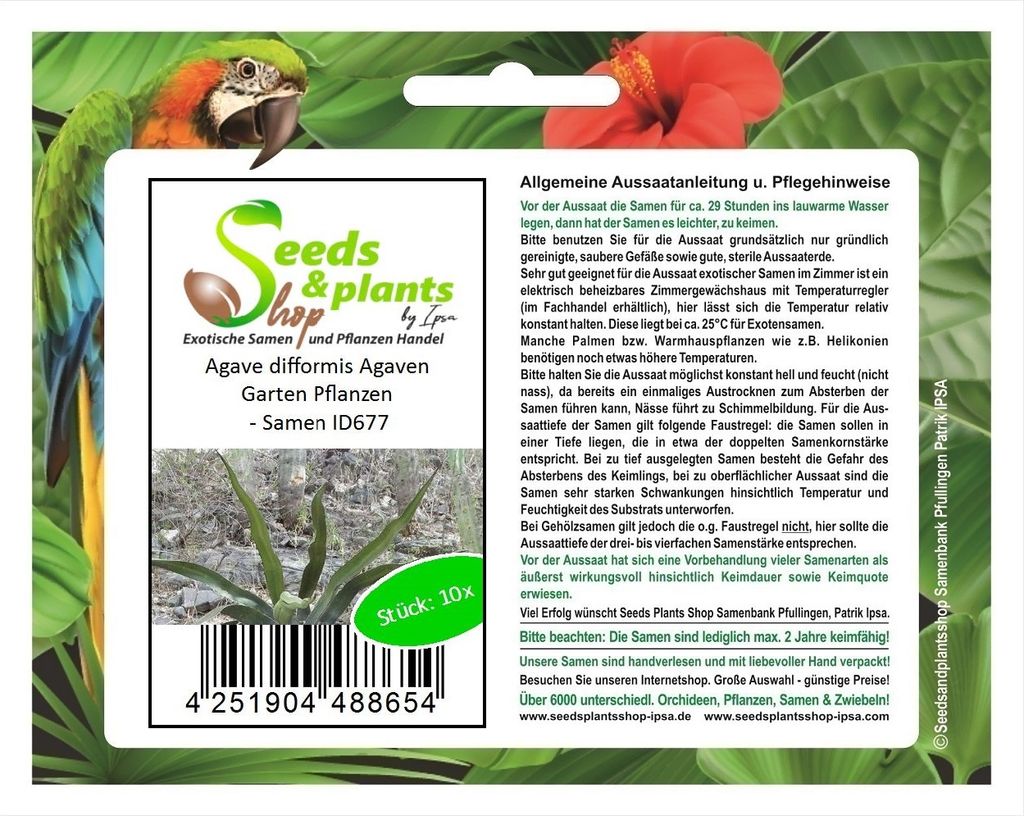 10x Agave difformis Agaven Garten Pflanzen - Samen ID677